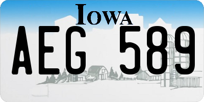IA license plate AEG589