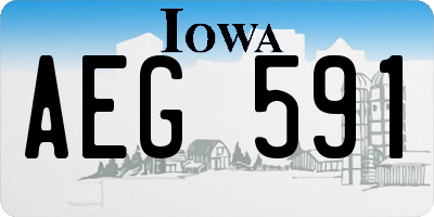 IA license plate AEG591