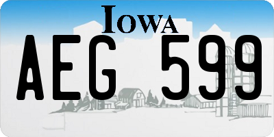 IA license plate AEG599