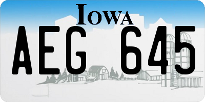 IA license plate AEG645