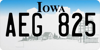 IA license plate AEG825