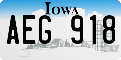 IA license plate AEG918