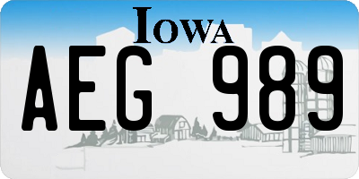 IA license plate AEG989