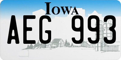 IA license plate AEG993