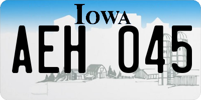 IA license plate AEH045