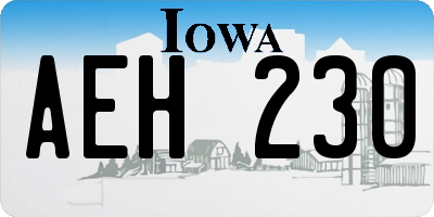 IA license plate AEH230