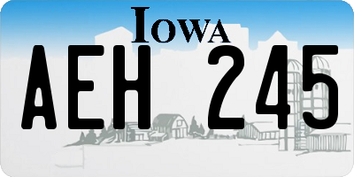 IA license plate AEH245