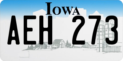 IA license plate AEH273