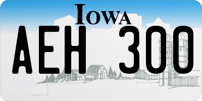 IA license plate AEH300