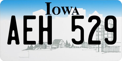 IA license plate AEH529