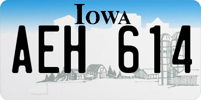 IA license plate AEH614