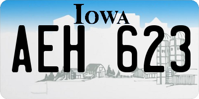 IA license plate AEH623