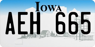 IA license plate AEH665