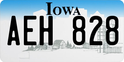 IA license plate AEH828