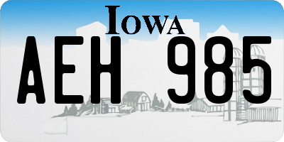 IA license plate AEH985