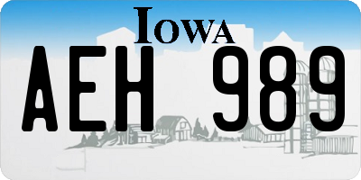 IA license plate AEH989