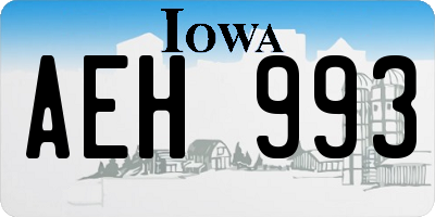 IA license plate AEH993
