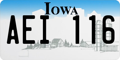 IA license plate AEI116