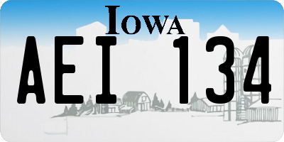 IA license plate AEI134