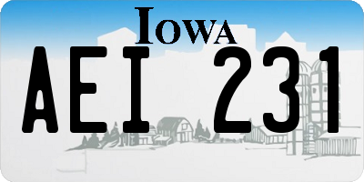 IA license plate AEI231