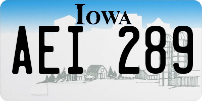 IA license plate AEI289