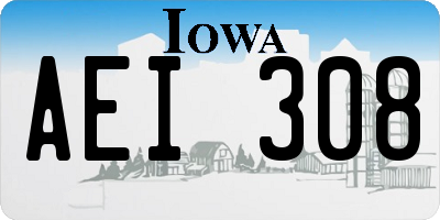 IA license plate AEI308
