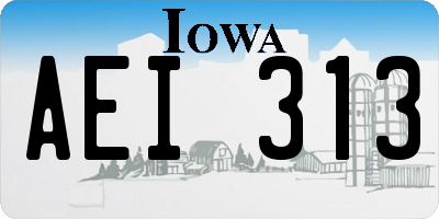 IA license plate AEI313