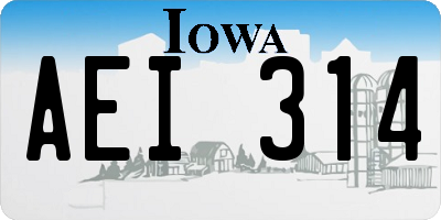 IA license plate AEI314
