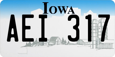 IA license plate AEI317
