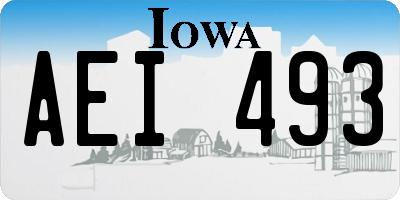 IA license plate AEI493