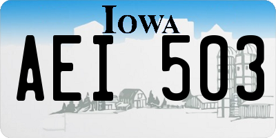 IA license plate AEI503