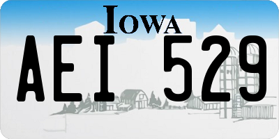 IA license plate AEI529