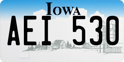 IA license plate AEI530