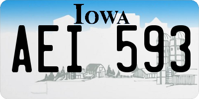 IA license plate AEI593