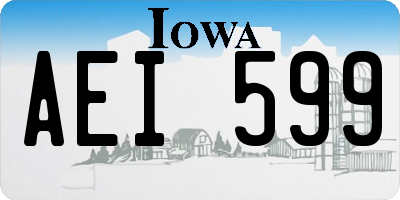 IA license plate AEI599