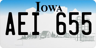 IA license plate AEI655