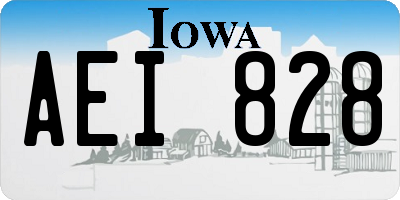 IA license plate AEI828