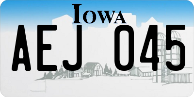 IA license plate AEJ045