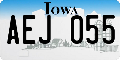 IA license plate AEJ055