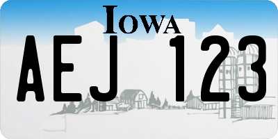 IA license plate AEJ123