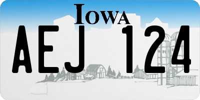 IA license plate AEJ124