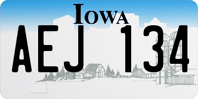 IA license plate AEJ134