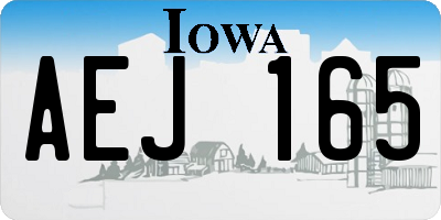 IA license plate AEJ165