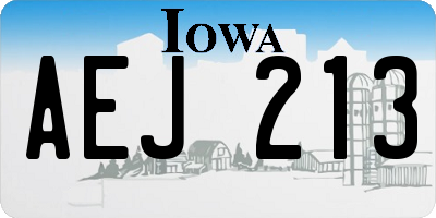 IA license plate AEJ213
