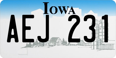 IA license plate AEJ231