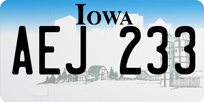 IA license plate AEJ233
