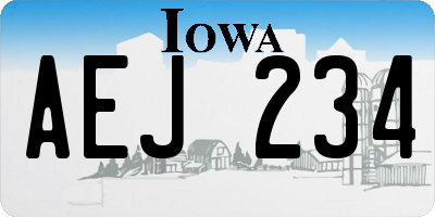 IA license plate AEJ234