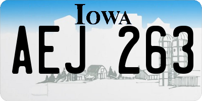 IA license plate AEJ263