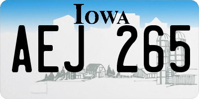 IA license plate AEJ265