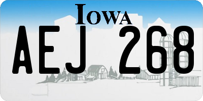 IA license plate AEJ268